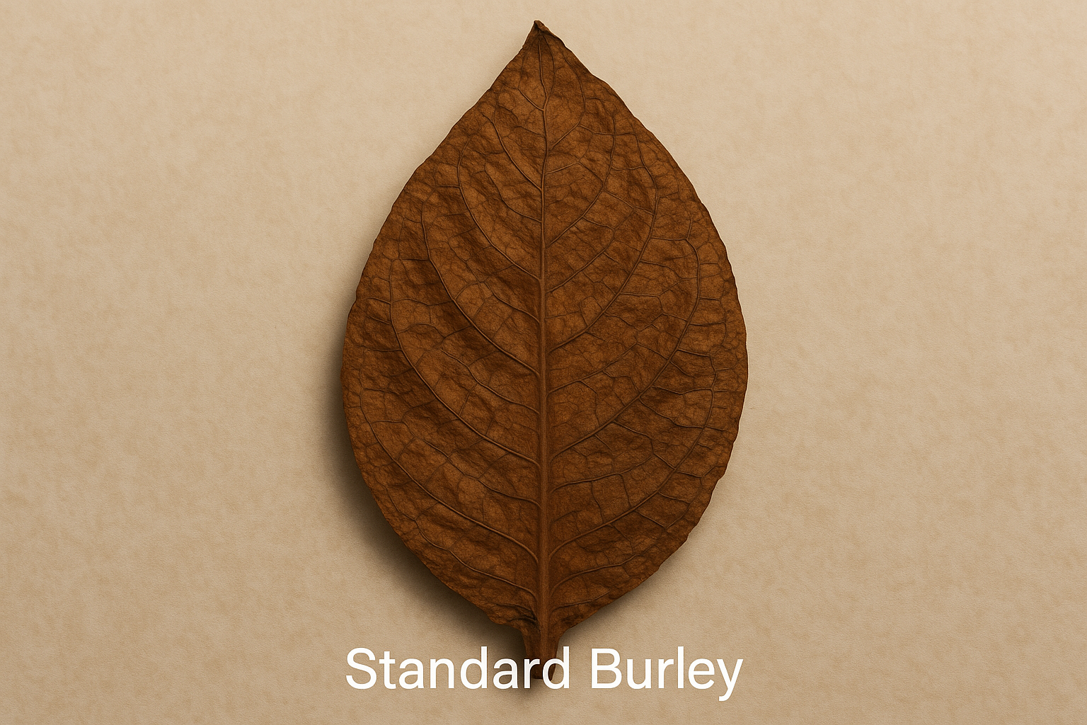 ChatGPT Image 24. Okt. 2025, 19_31_31 ChatGPT Image 24. Okt. 2025, 19_31_31