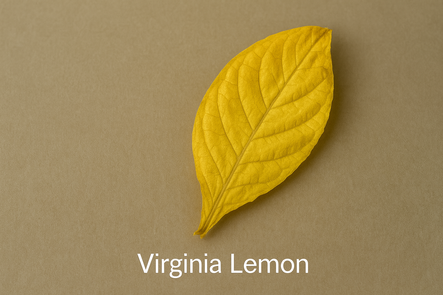 ChatGPT Image 24. Okt. 2025, 19_32_52 ChatGPT Image 24. Okt. 2025, 19_32_52