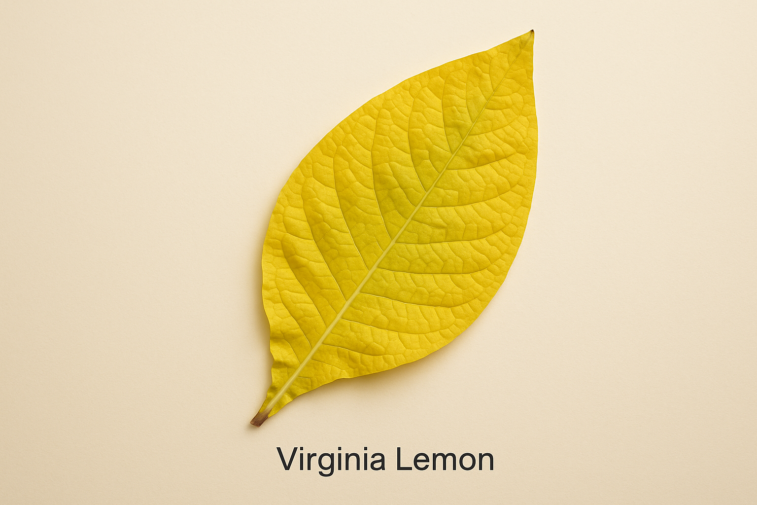 ChatGPT Image 24. Okt. 2025, 20_04_35 ChatGPT Image 24. Okt. 2025, 20_04_35